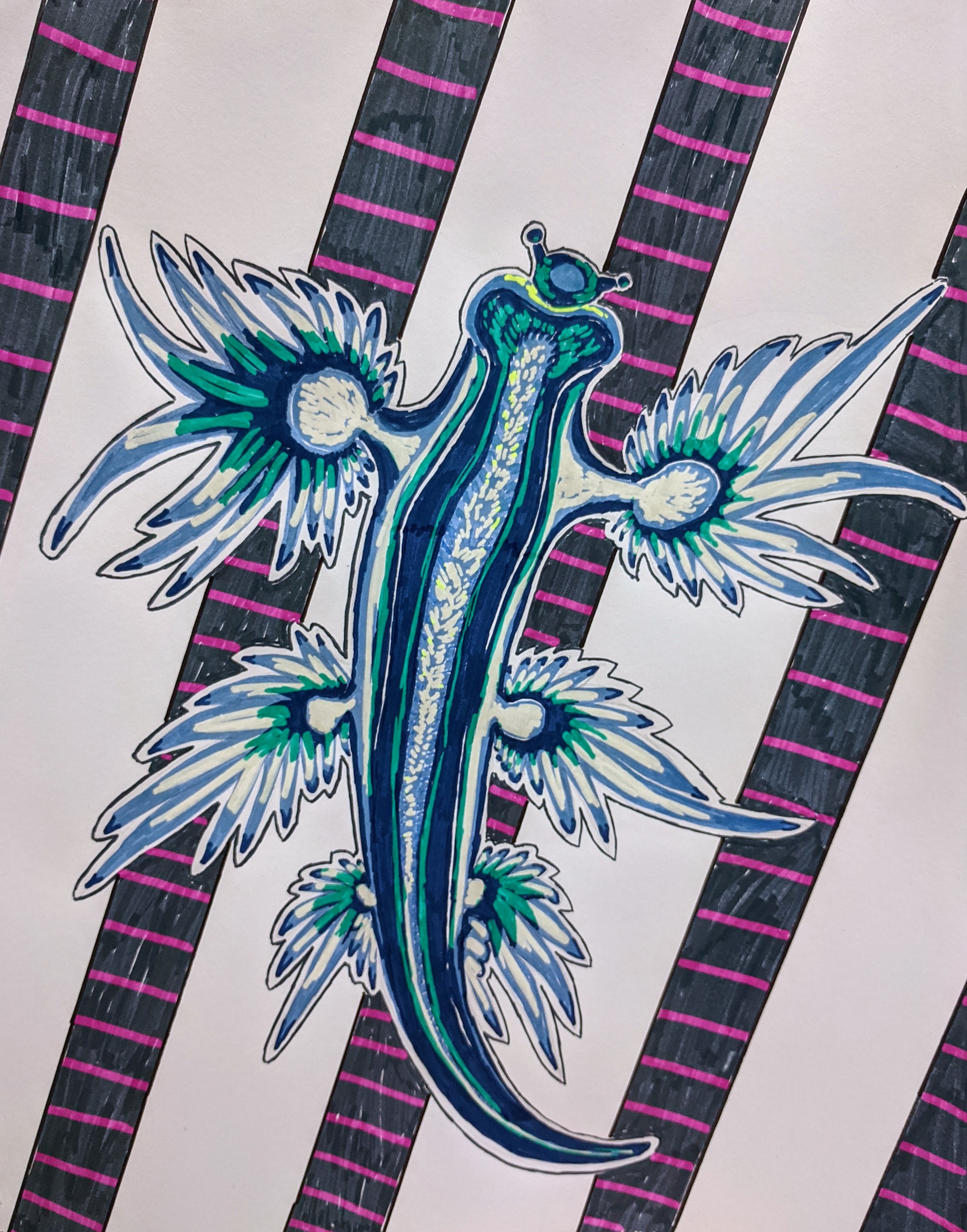 Psychedelic Nudibranch