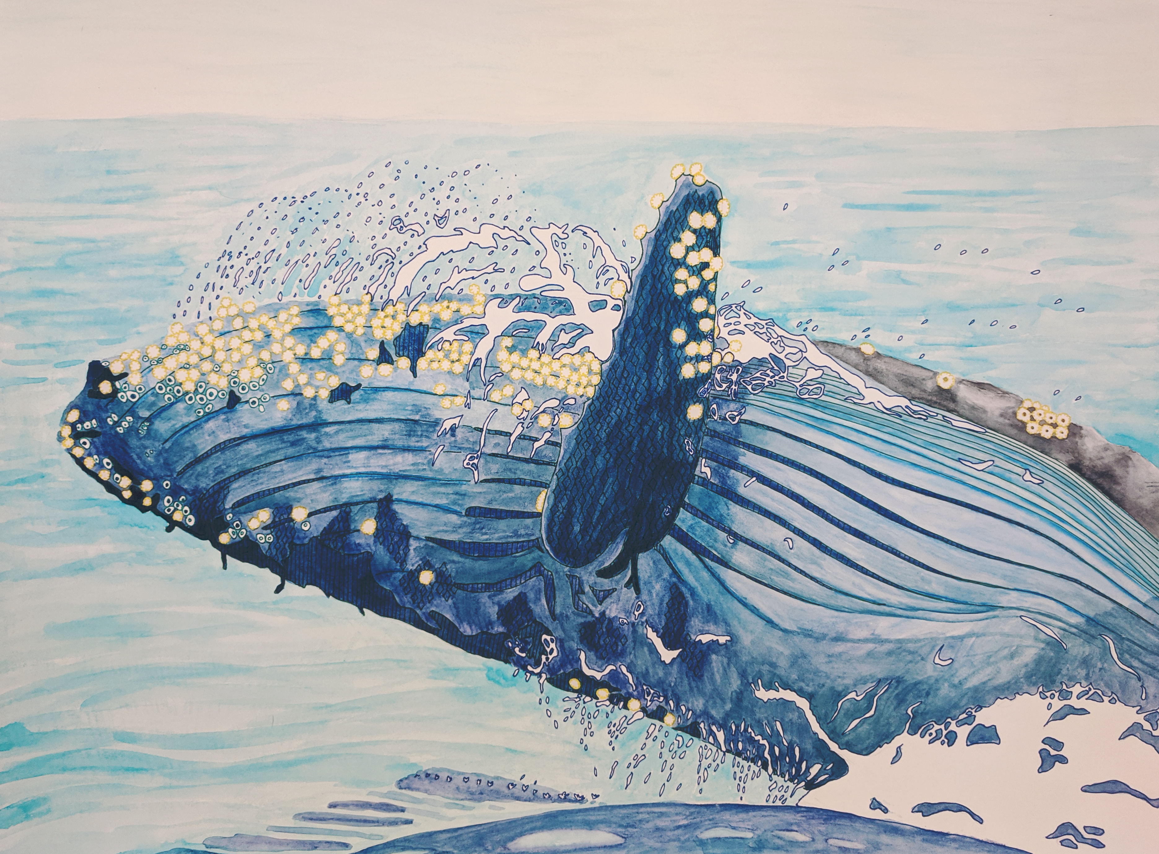 Elephant Plant Mashup